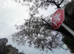 正源房地产成为被执行人，执行标的为：9075元