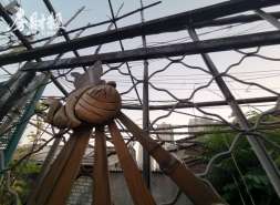 金地物业参股成立惠州大亚湾区城业物业，注册资本为200万