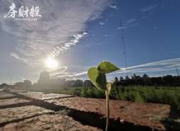 百联股份成立商管公司，注册资本为200万元