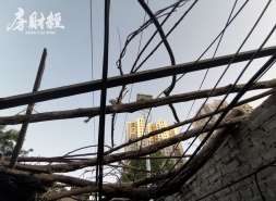 光明房地产：发行6亿元超短期融资券，期限为170天