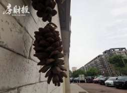 越秀地产1月合同销售约42.01亿元