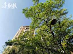 港龙中国1月合同销售约2亿元