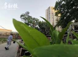 任力辞任信达地产董事