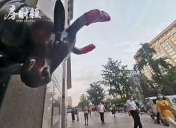 金隅集团2025年营收911.13亿元，亏损15.07亿元