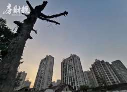 雅居乐前3月预售约18.2亿元