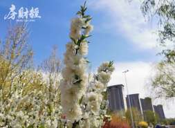 萤石网络聘请陈冠兰，为公司副总经理
