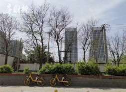 中海宏洋前3月合约销售80.91亿元