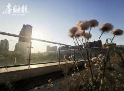 绿城中国4月销售约116亿元，待建销售约72亿元