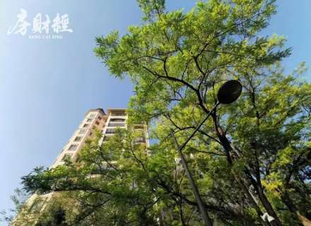 https://www.housecaijing.com/show-7-20231-1.html