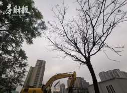 华润置地20亿元债券拟7月14日付息，利率3.37%