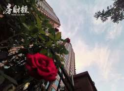 我爱我家高管高晓辉减持股份，持股降至0.09%