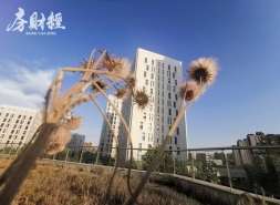 保利发展上半年营业收入约1028.97亿元