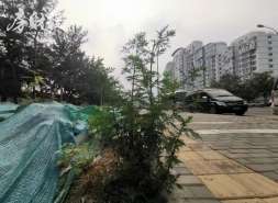华发股份拟44.05亿元处置7块商业用地