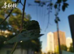 禹洲集团上半年预亏53亿至63亿元
