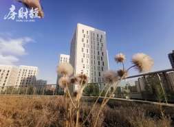 世茂建设有息债务逾期约436亿元