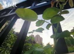 我爱我家获上海农商行2000万元借款