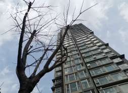 弘阳地产前10月合约销售39.8亿元