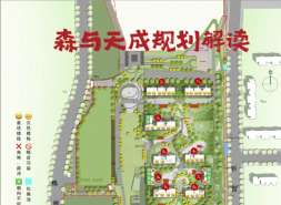 森与天成东西朝向坏了一锅粥