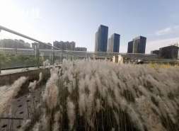 我爱我家实控人谢勇持股比例降至0.64%，持股1500万股