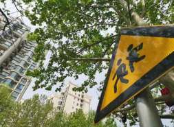 富力地产前11月销售127亿元