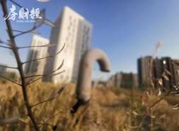 华侨城A：控股股东增持股份已至50%