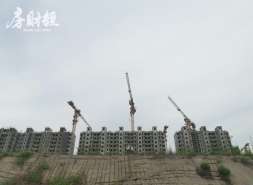 美芝股份上半年预亏最高3750万元，内部审计负责人辞职