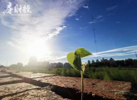 https://www.housecaijing.com/show-15-17931-1.html