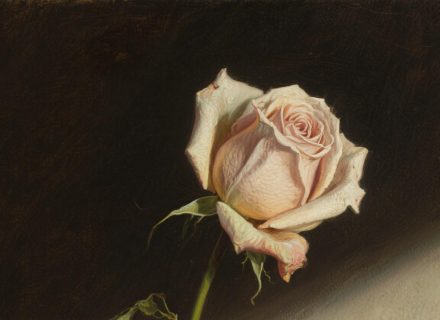https://www.housecaijing.com/show-18-18641-1.html