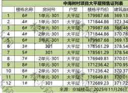 中海树村地王一房一价曝光